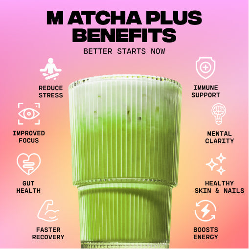 Matcha+ Starter Kit (30 Servings) - Bright Pick
